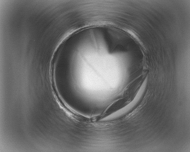 X0000054431046200508192118