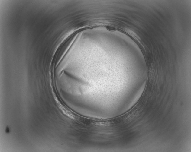 X0000054431047200508192118