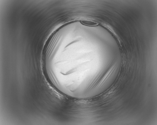 X0000054431048200508192118