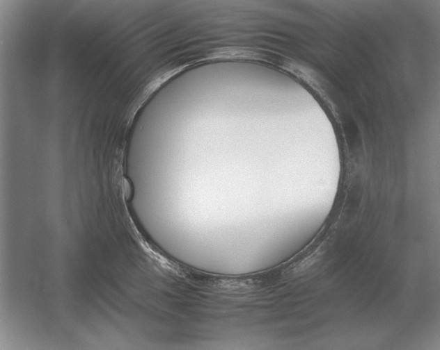 X0000054431049200508192118