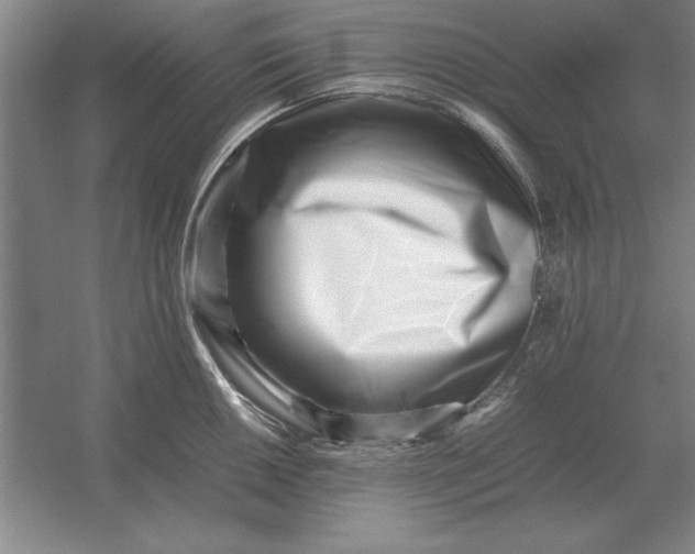 X0000054431050200508192118