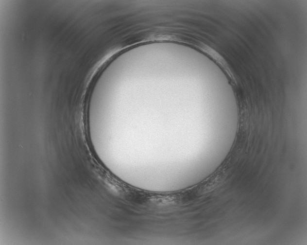 X0000054431051200508192118