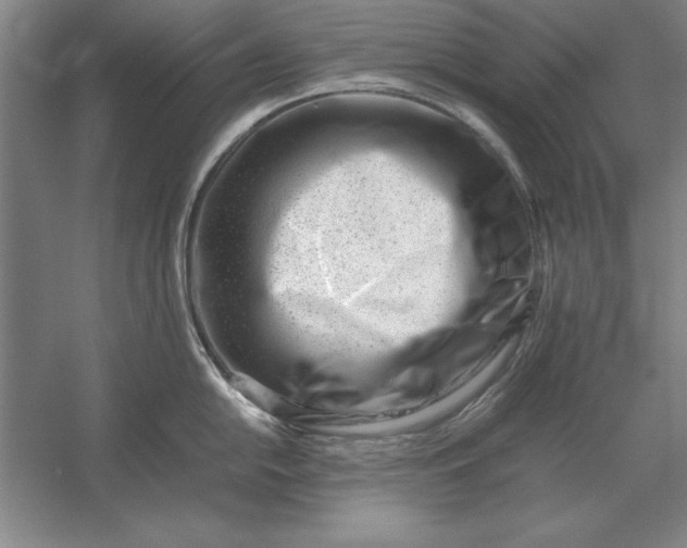 X0000054431054200508192118