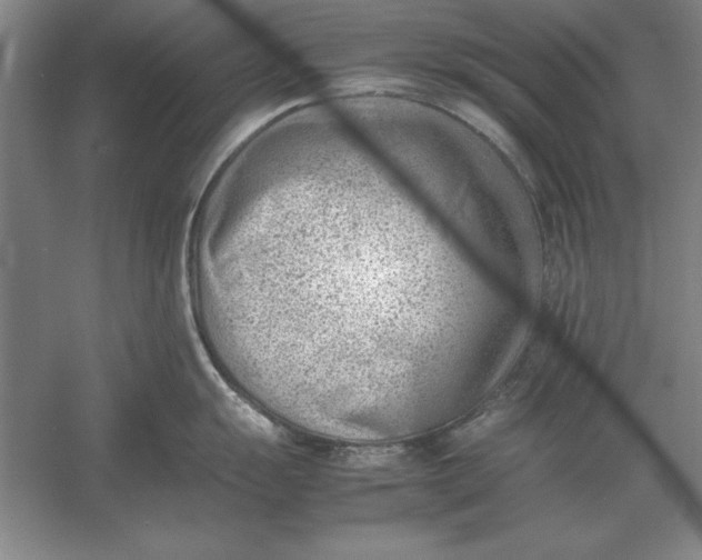 X0000054431055200508192118