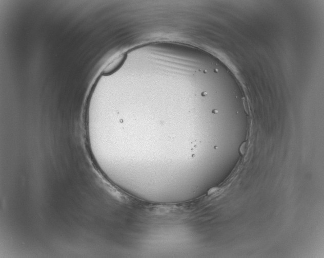 X0000054431056200508192119