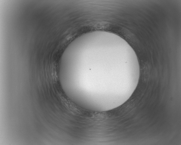 X0000054431058200508192118