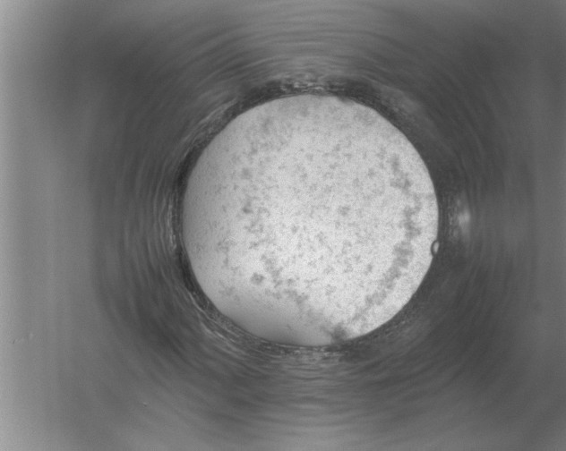 X0000054431060200508192118