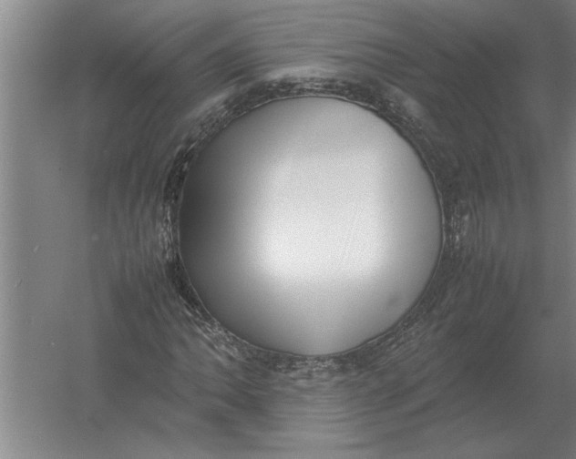 X0000054431062200508192118