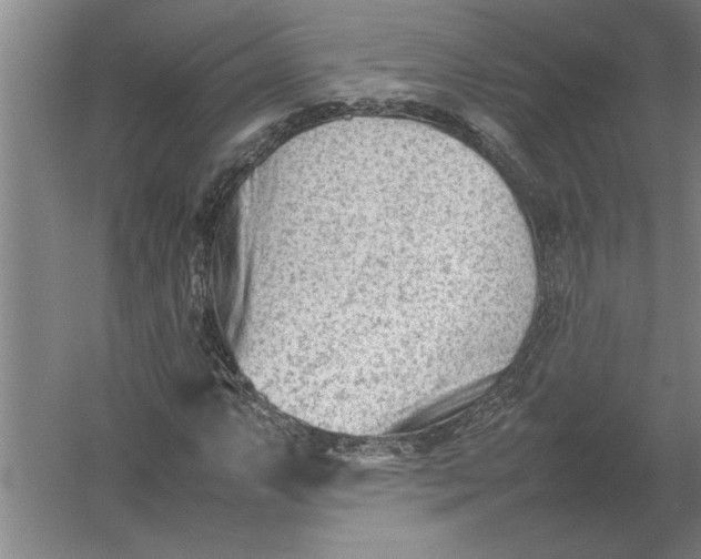 X0000054431063200508192118