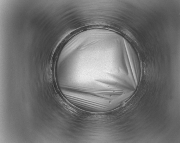 X0000054431068200508192118