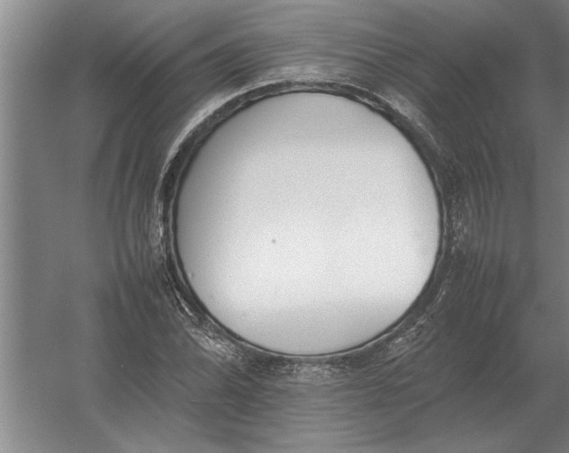 X0000054431070200508192117