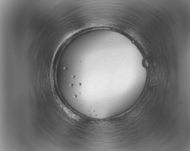 X0000054431072200508192117