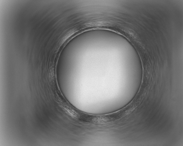 X0000054431073200508192117