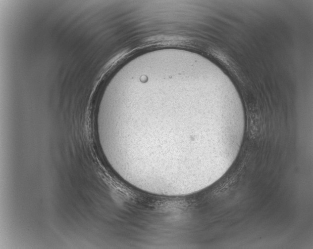 X0000054431074200508192117