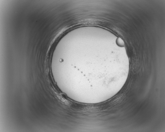 X0000054431075200508192117