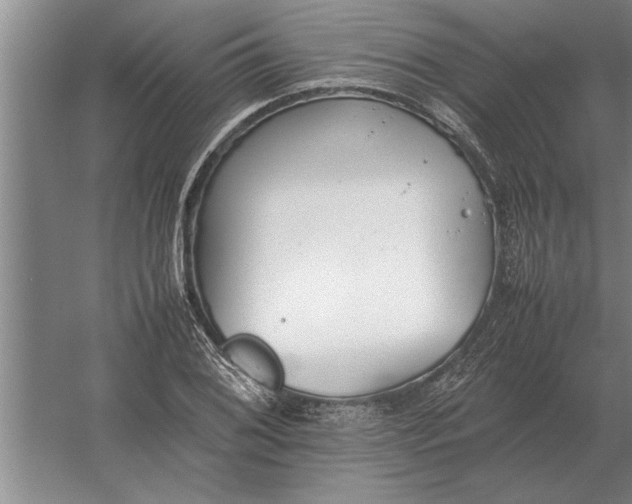 X0000054431076200508192117