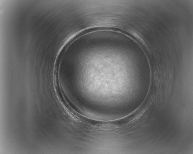 X0000054431077200508192117