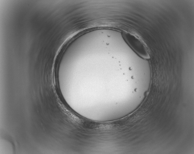 X0000054431080200508192117