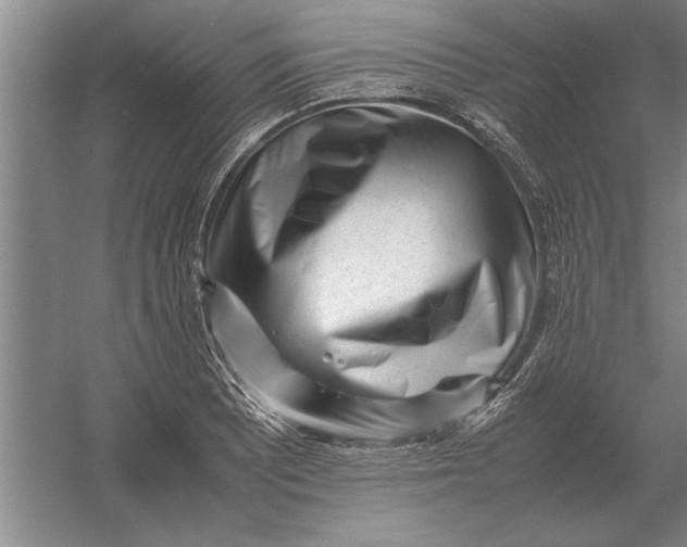 X0000054431081200508192117