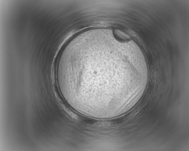 X0000054431083200508192117