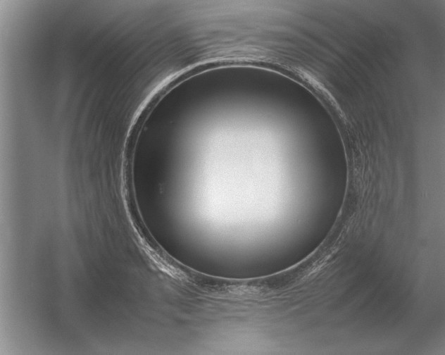 X0000054431085200508192117