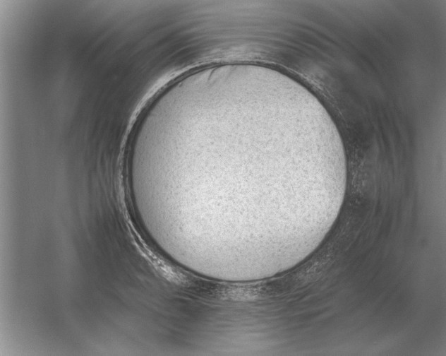 X0000054431086200508192117