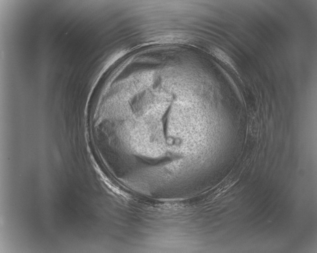 X0000054431087200508192117