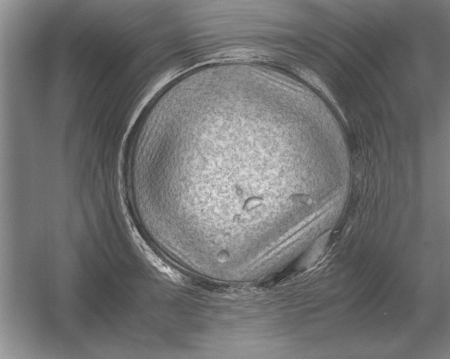 X0000054431091200508192117