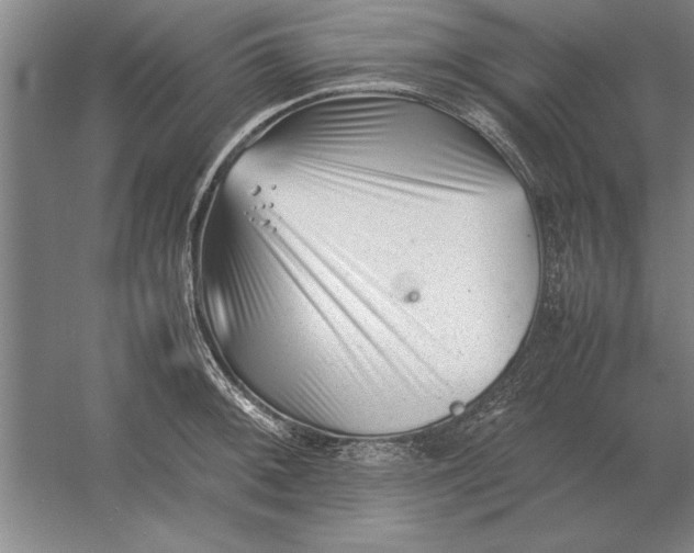 X0000054431092200508192117