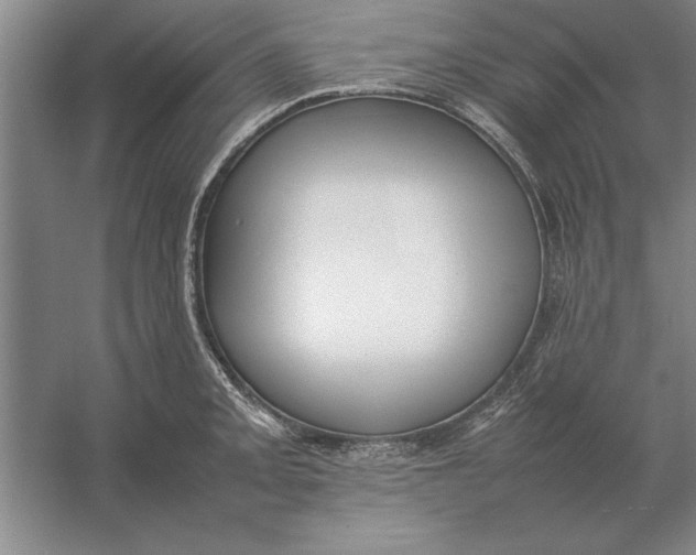 X0000054431093200508192117