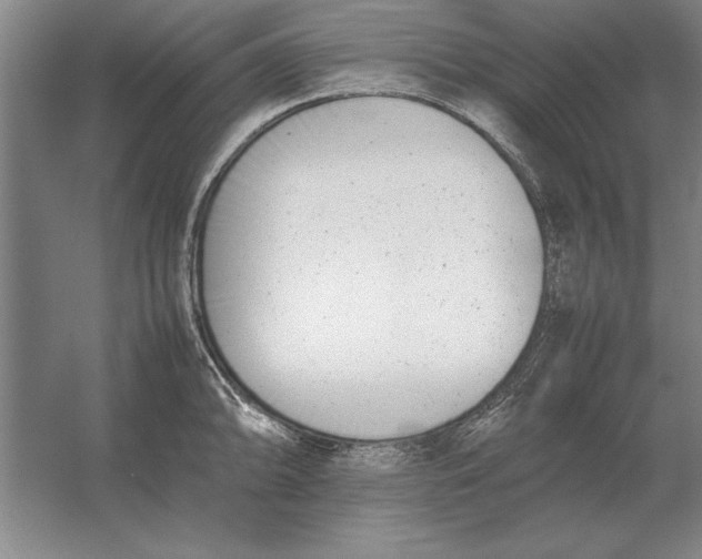 X0000054431094200508192117