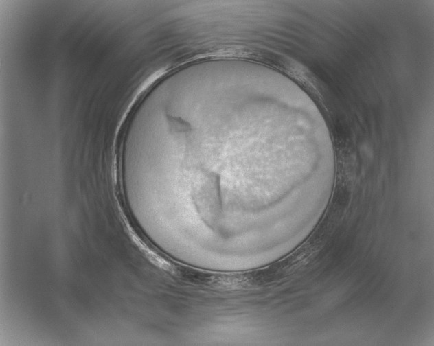 X0000054431095200508192117