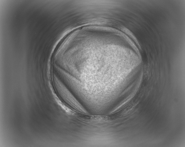 X0000054431099200508192117