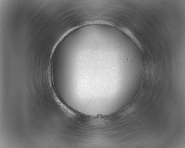 X0000054431100200508192117