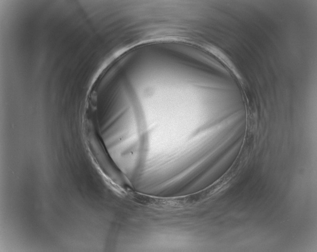 X0000054431101200508192117