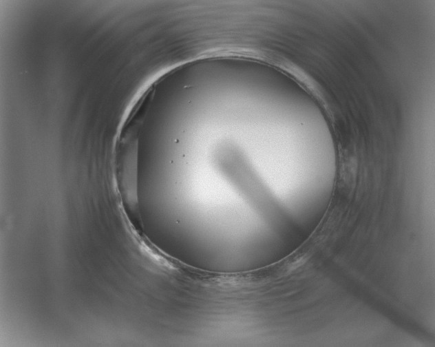 X0000054431102200508192117