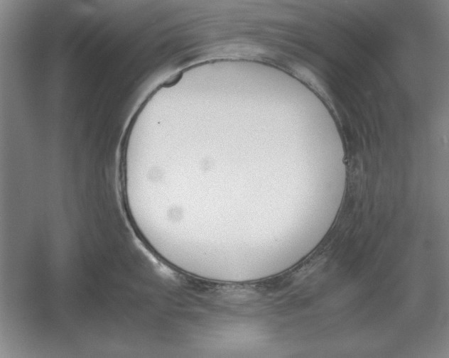 X0000054431103200508192117