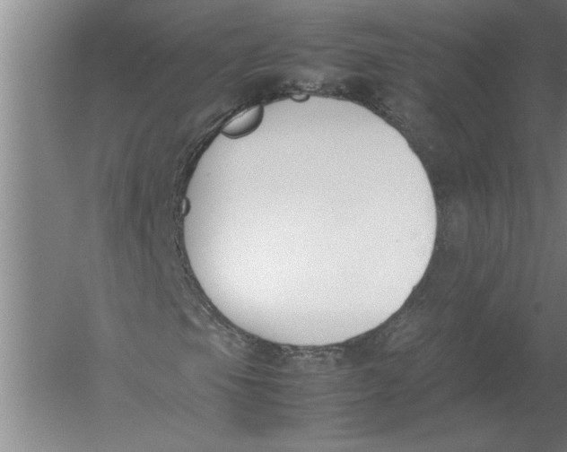 X0000054431105200508192116