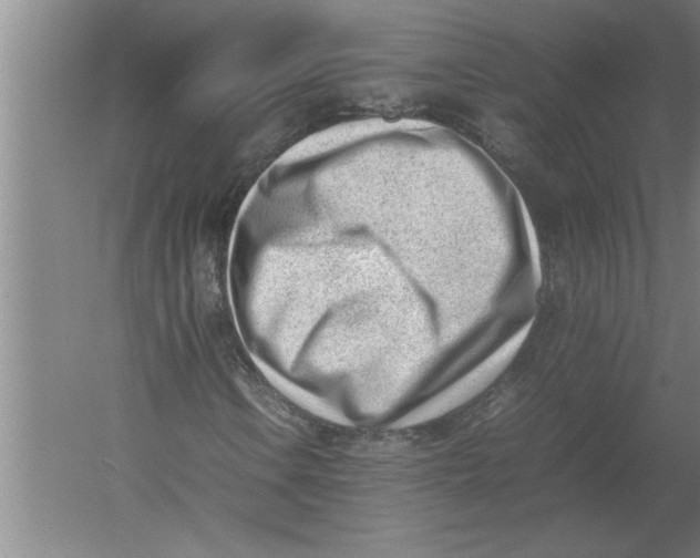 X0000054431106200508192116