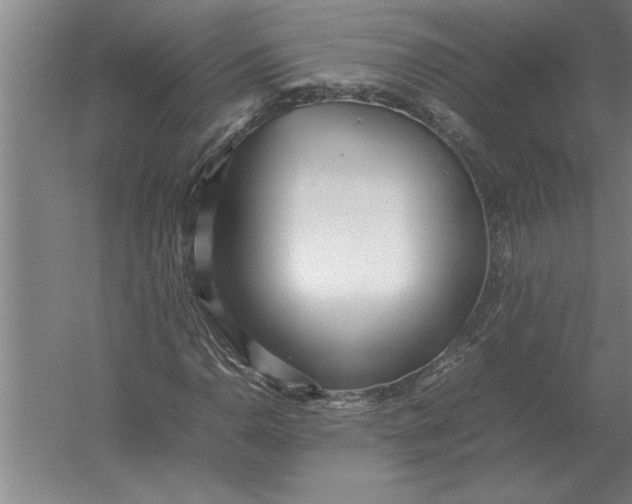 X0000054431110200508192116