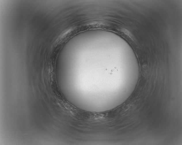 X0000054431111200508192116