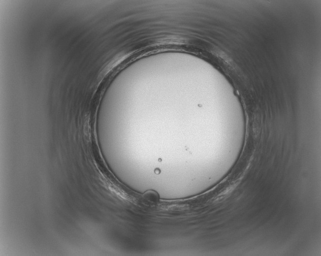 X0000054431113200508192116