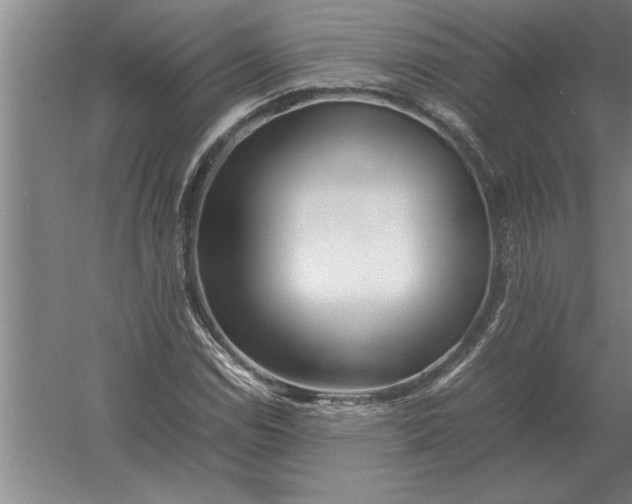 X0000054431114200508192116