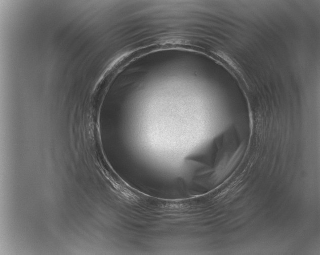 X0000054431115200508192116