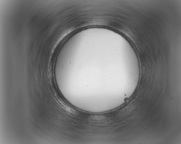 X0000054431119200508192116