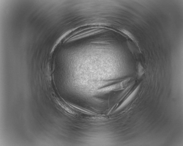 X0000054431120200508192116