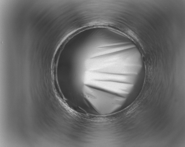 X0000054431124200508192116