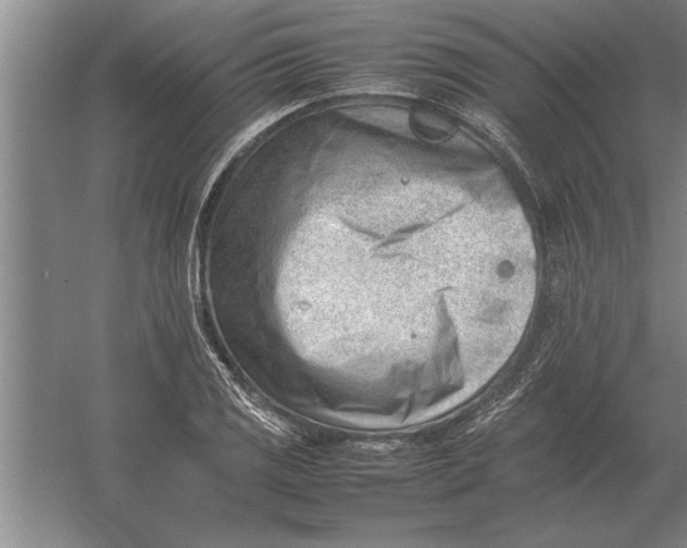 X0000054431125200508192116