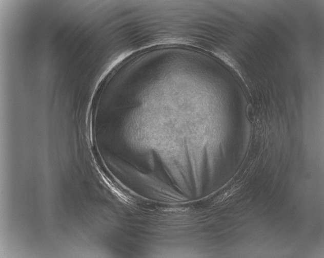 X0000054431127200508192116