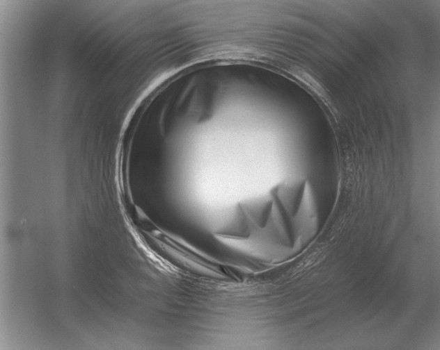 X0000054431128200508192116